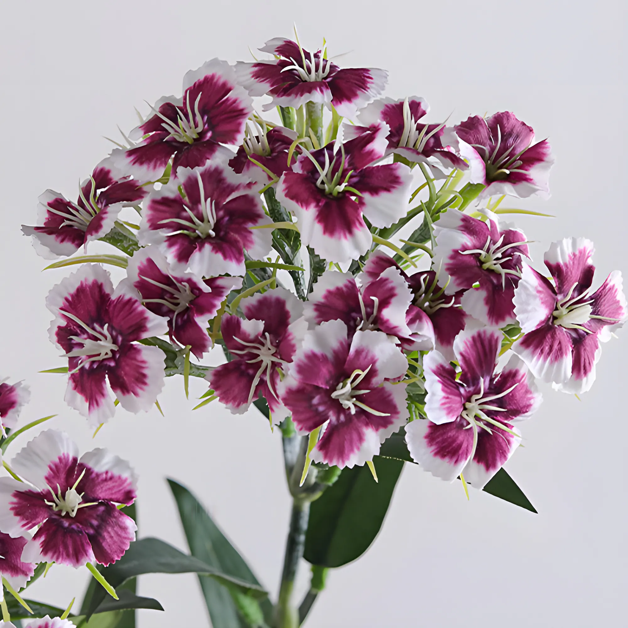 Artificial-Dianthus-Flowers-for-Event-Wedding-Home-Decor06.webp