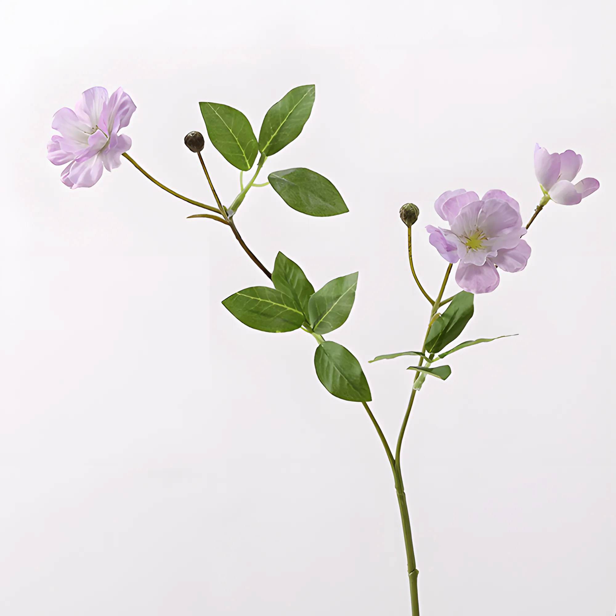 Light Purple