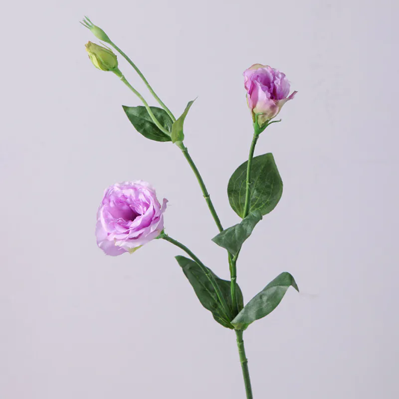 Light Purple