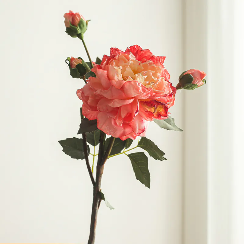 Rose Red