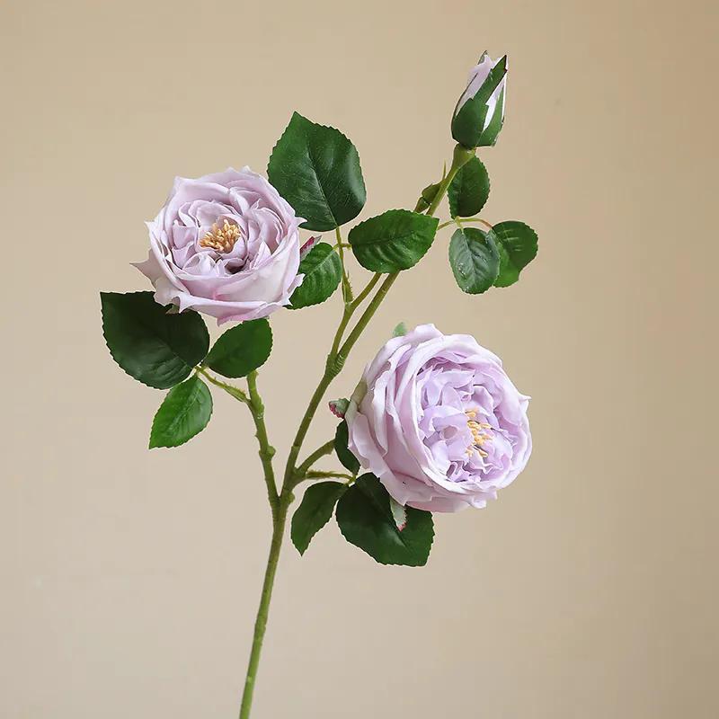 Light Purple