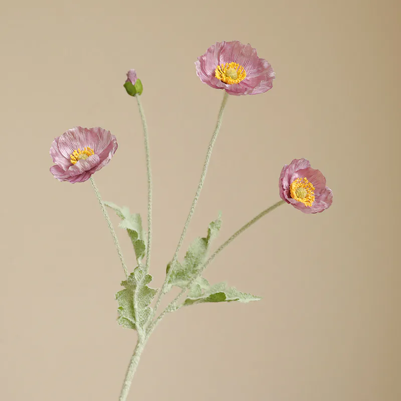 Light Purple