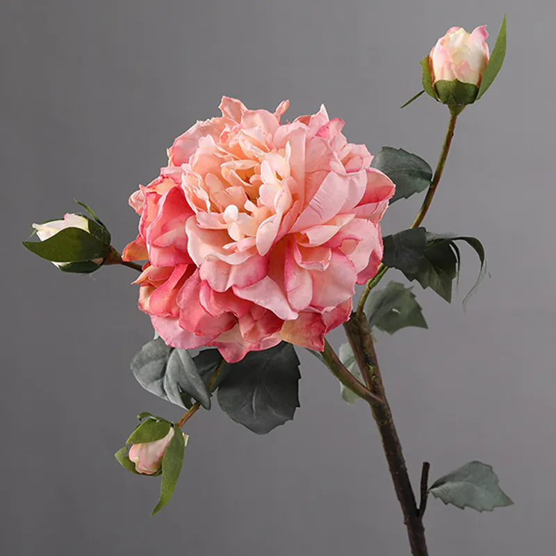 Rose Red